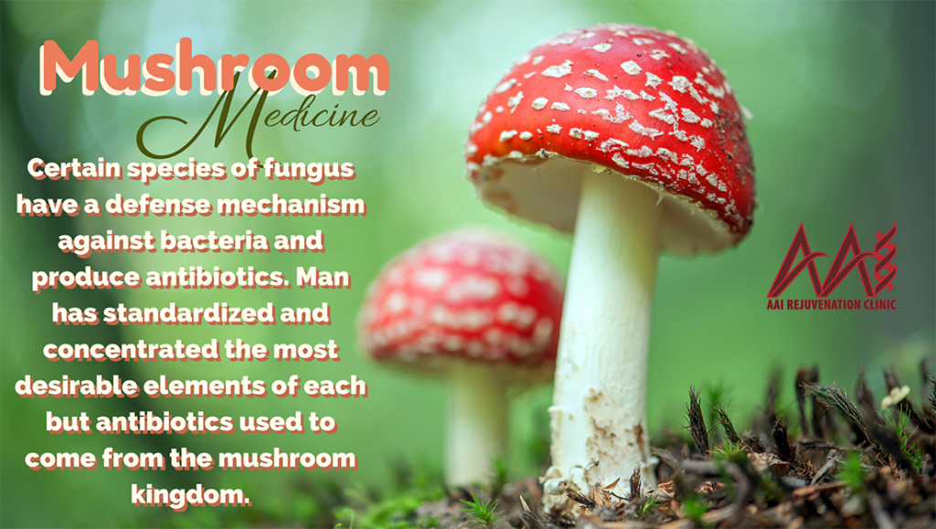 Powerful Mushrooms