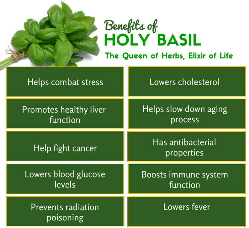 Benefits of basil