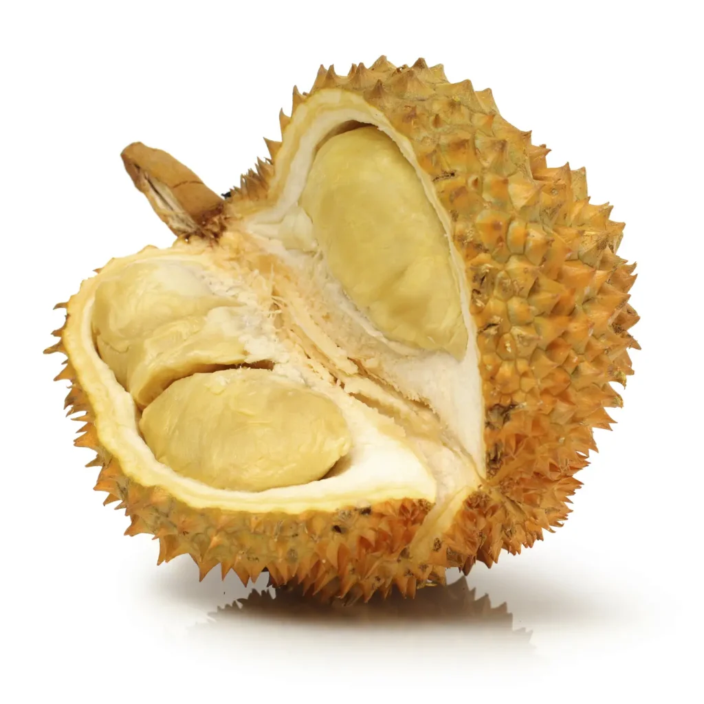Durian Fruit