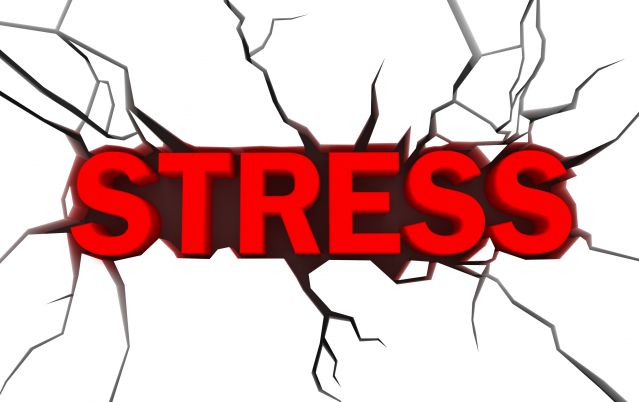 Hormones and Stress