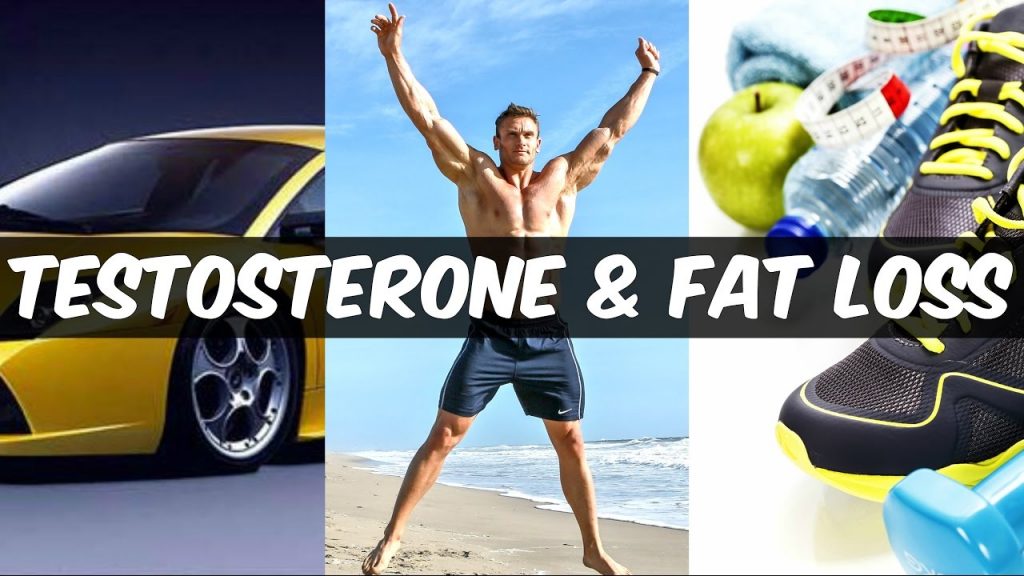 Testosterone Affects Fat Loss