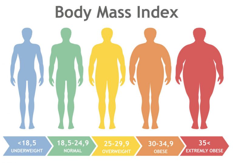 Body Mass Index, (BMI), Measure of Body Fat